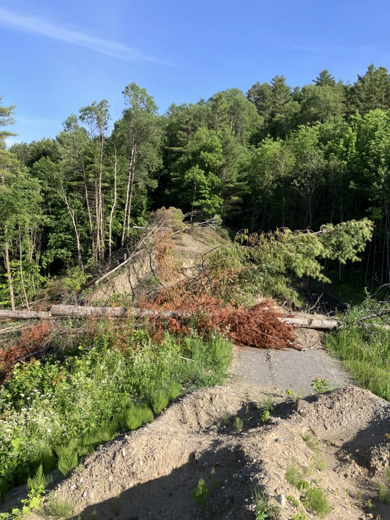 Rail Trail Culvert Failure